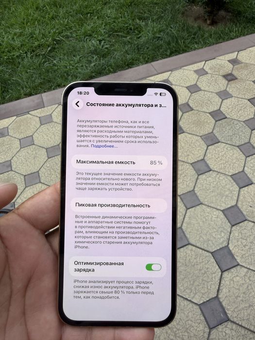 Surochna tel sotiladi 12 poro maks satayani idial
