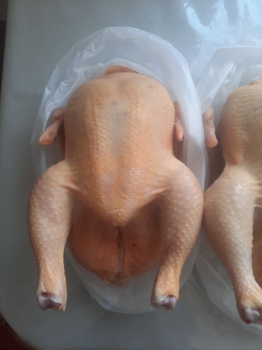 Тушки мясной домашней курицы