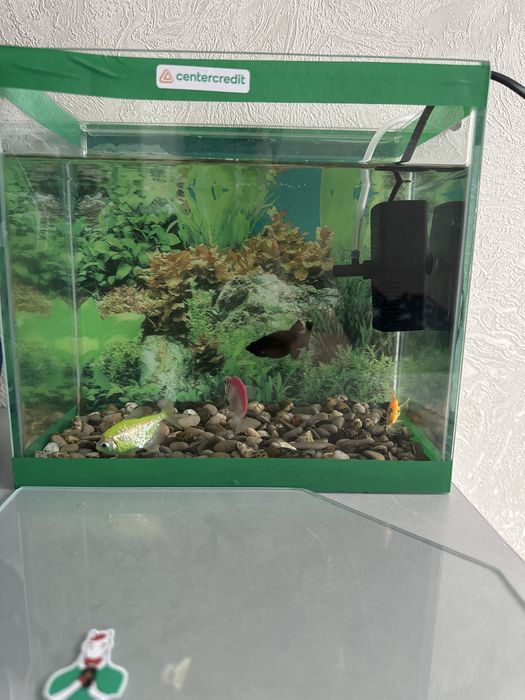 Продаю аквариум с рыбами