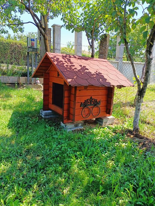 Vand Casută adăpost caine