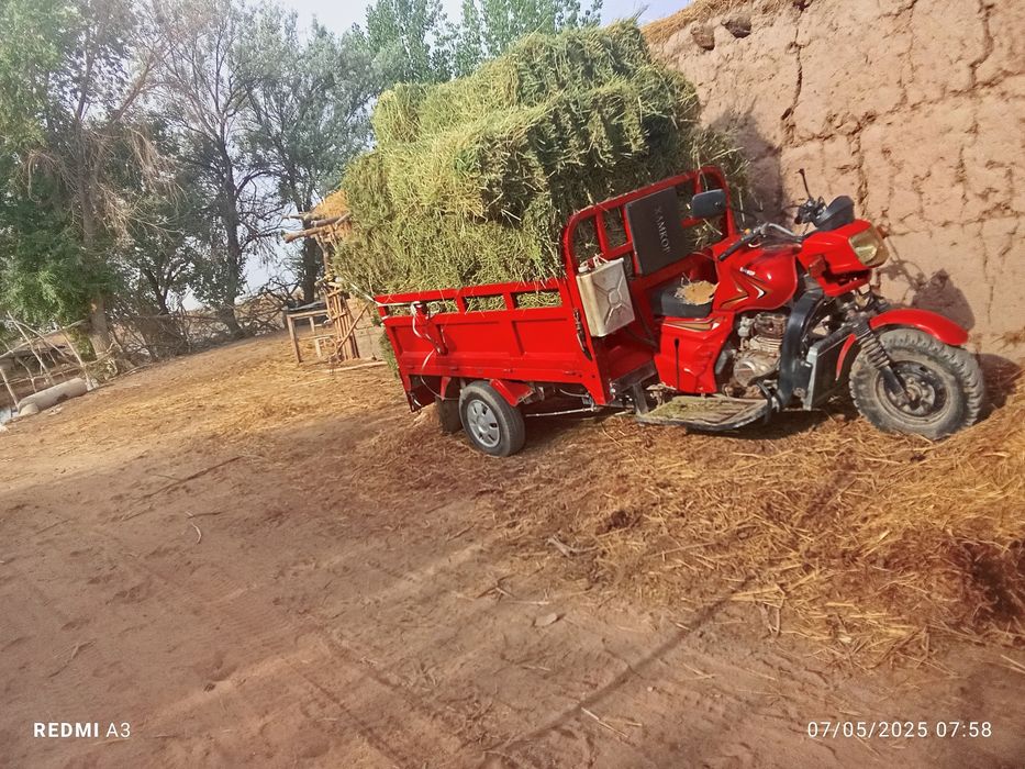 Hamkor motsakil sotiladi narxi 10 mln boʻladigan shu