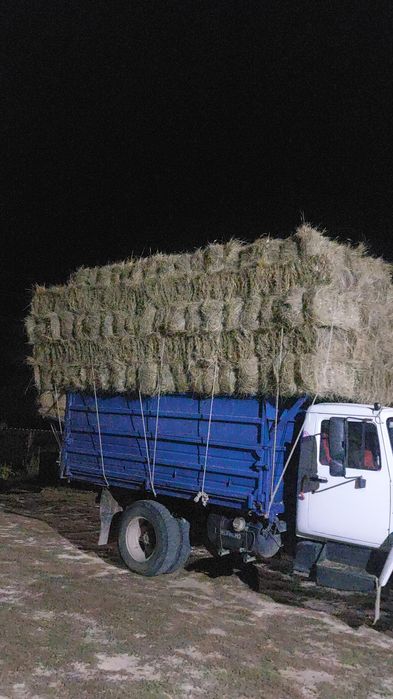 Шоп ( Сено ) 800тг