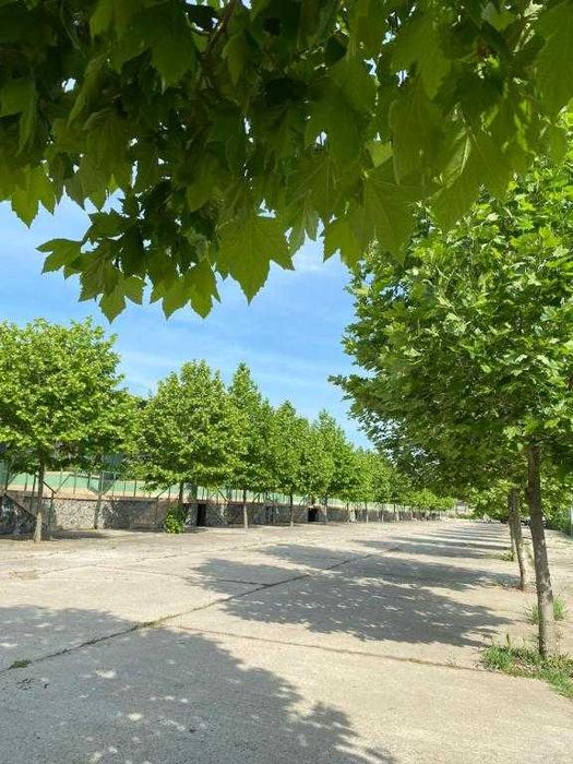 Locație ideală la Corbu pentru team-building, tabere și evenimente – piscină, 43 camere