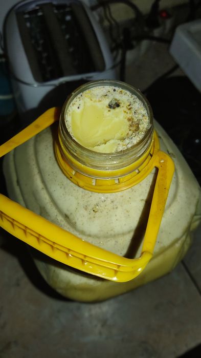 мёд подсолнух 2025