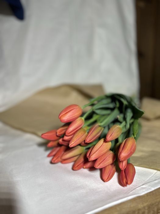 Тюльпаны на 5-6-7-8 марта!