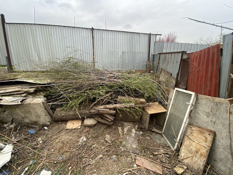 Отын агаш тегын.