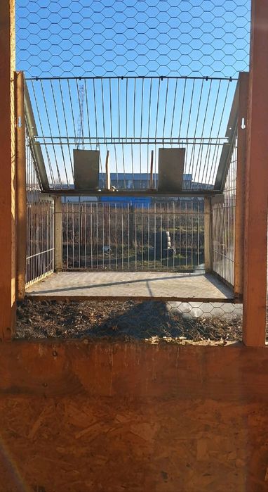 Vând Sputnic Metalic