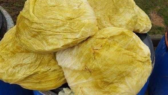 Vând varza murată românească