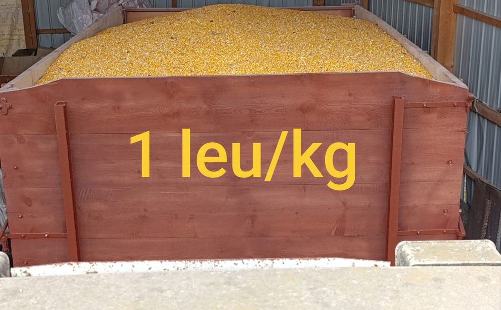 Porumb boabe 2025 posibilitate transport