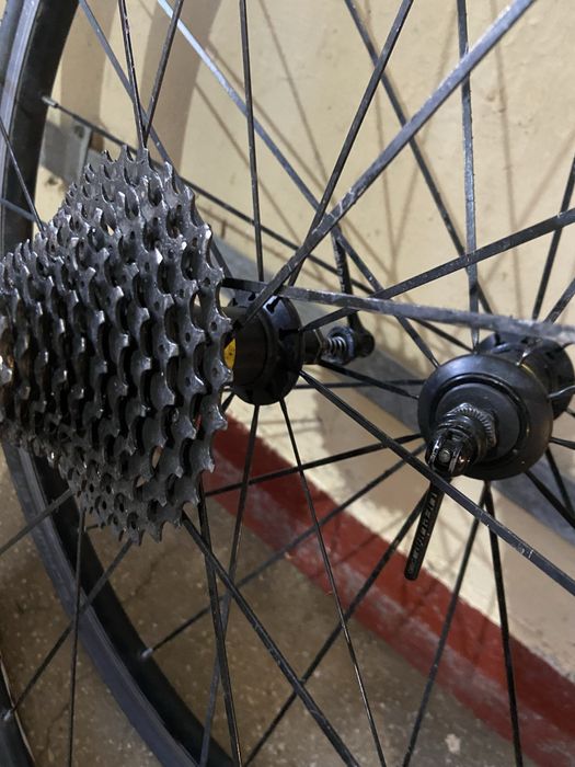 Roti mavic 28 cursiera