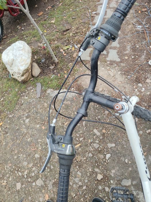 Bicicleta de dama la schimb cu animale , capră,iede,miele.etc