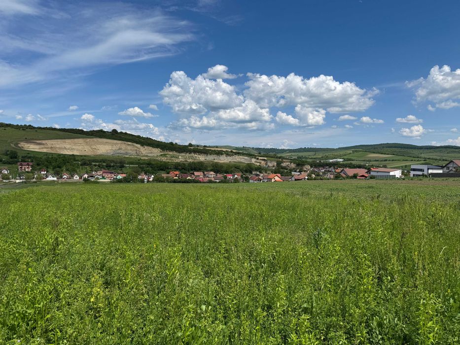 De vânzare - Doua parcele de teren intravilan Șura Mare - Mai multe