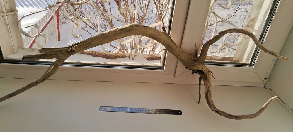 Коряга для аквариума