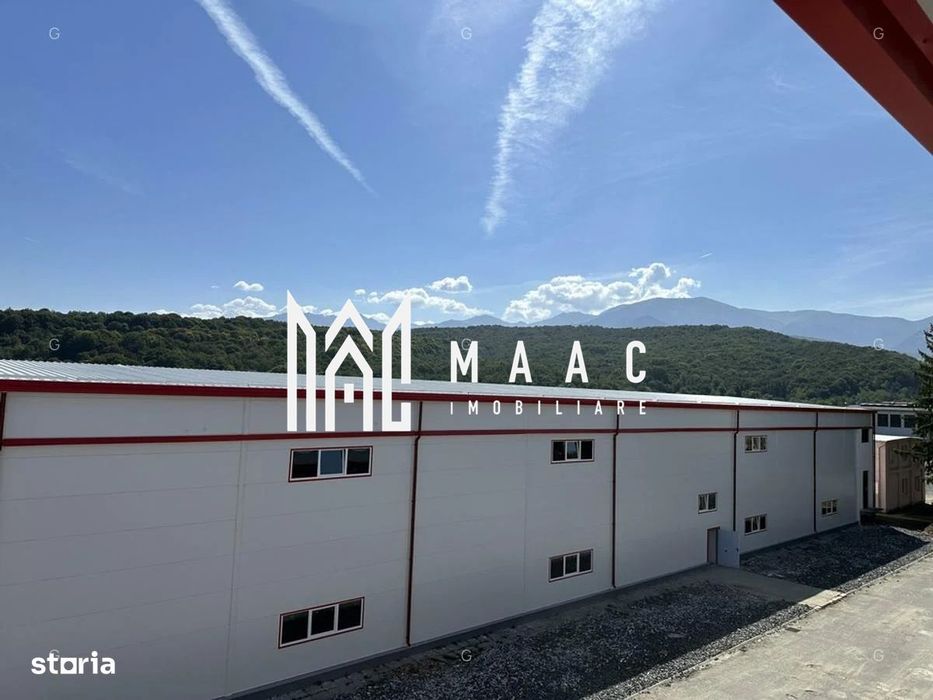 Hala producție I 6857 mp I Acces TIR I Pod Rulant I Mârșa - Vedere 5