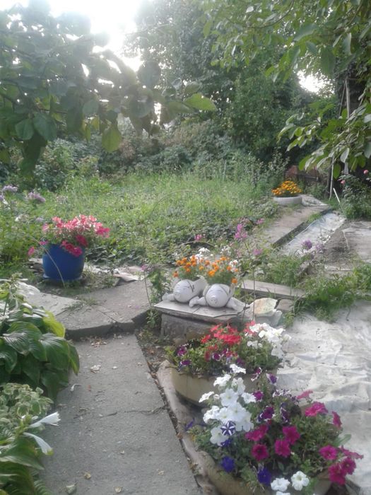 Продажа дачного участка