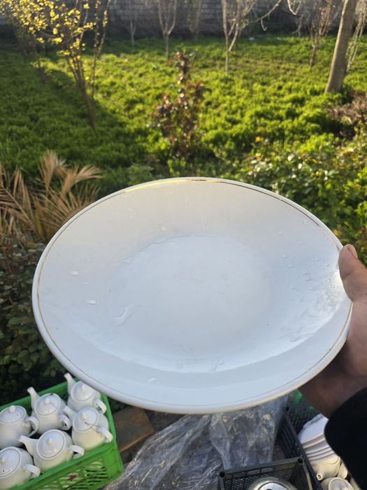 Tovoqlar sotiladi 23.000