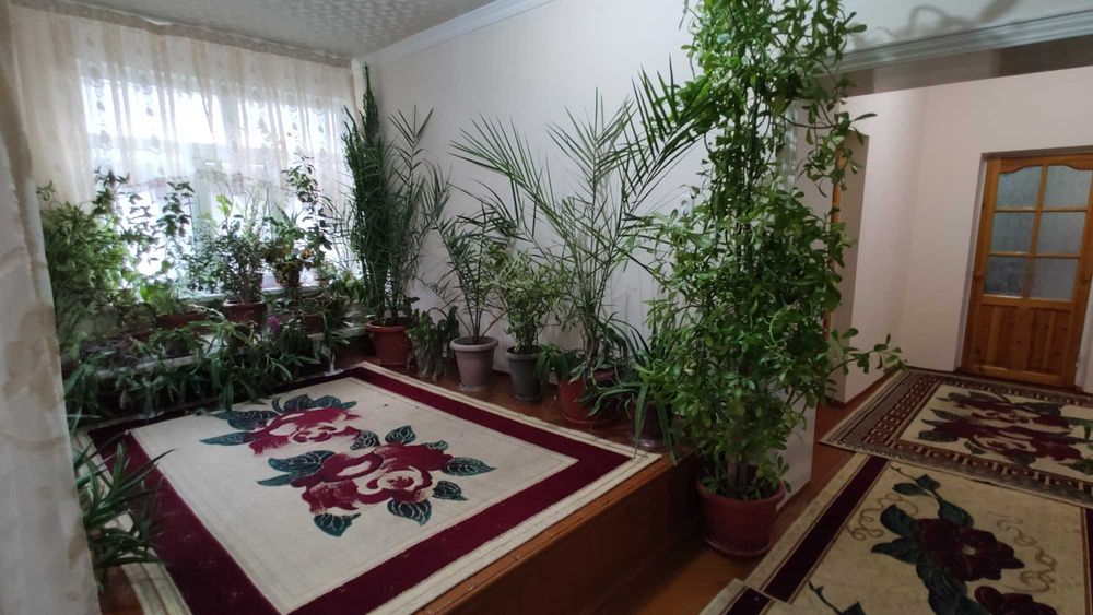 Продается большой дом с мебелью и техникой в Азадбаше.