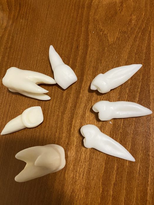 Моделирам зъби от сапун и восък