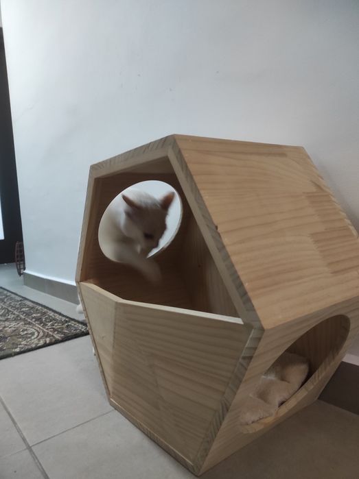 Suspended Wall-House for Cats