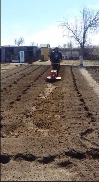 Вспашка и перекопка огорода мотоблоком