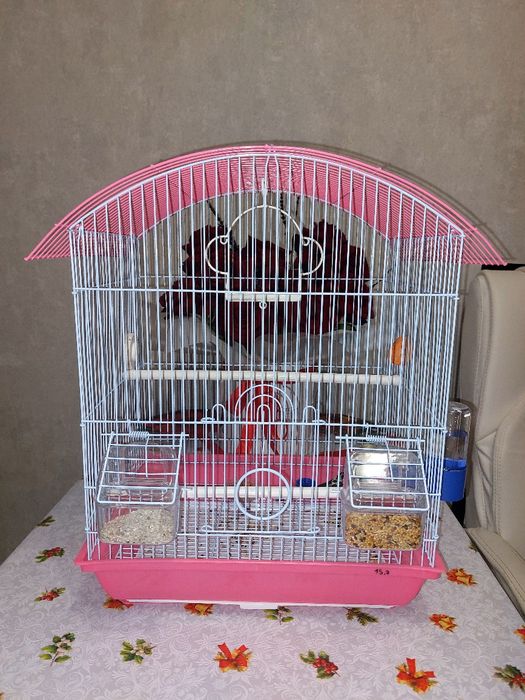 Продам клетку для птицы, 2 жердочки, 2 кормушки, качеля. Новая клетка.