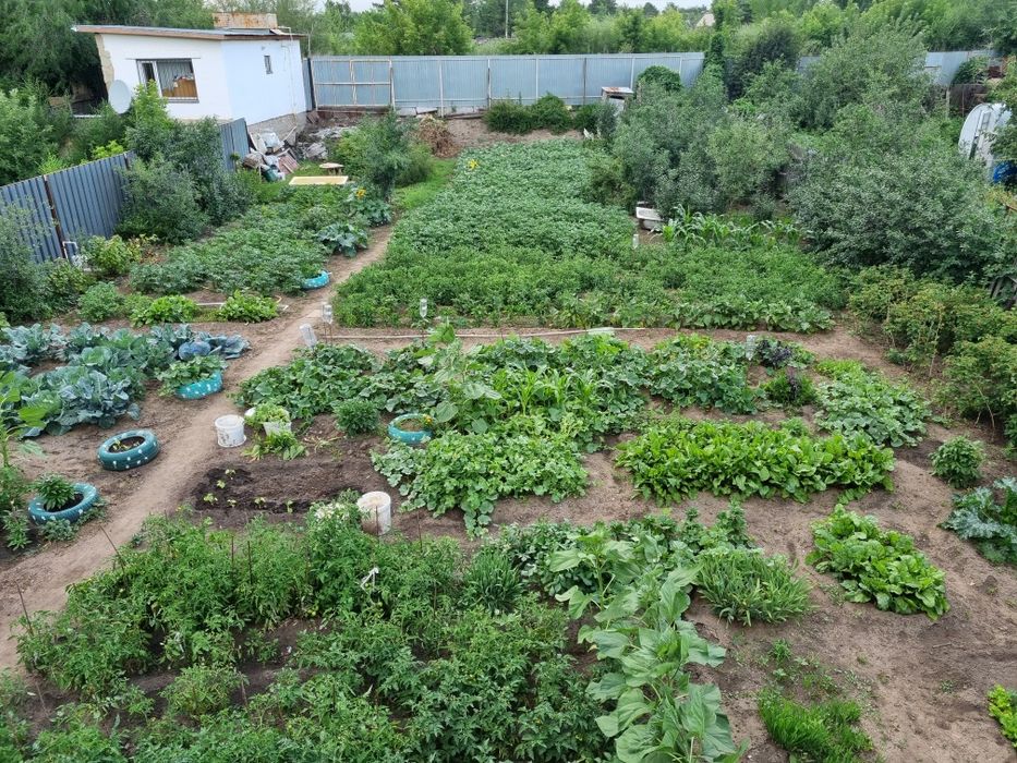 Дача Машиностроитель