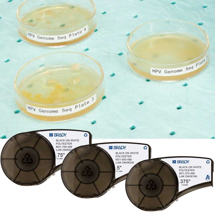 Картриджи M 21_375_499 к принтерам BRADY M210/M211 (оригинал)