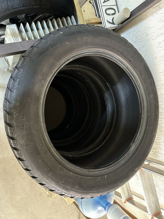 Bridgestone Blizzak DM-V2