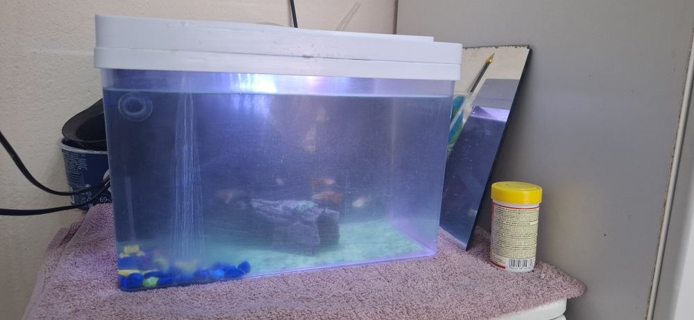 Аквариум с рыбками