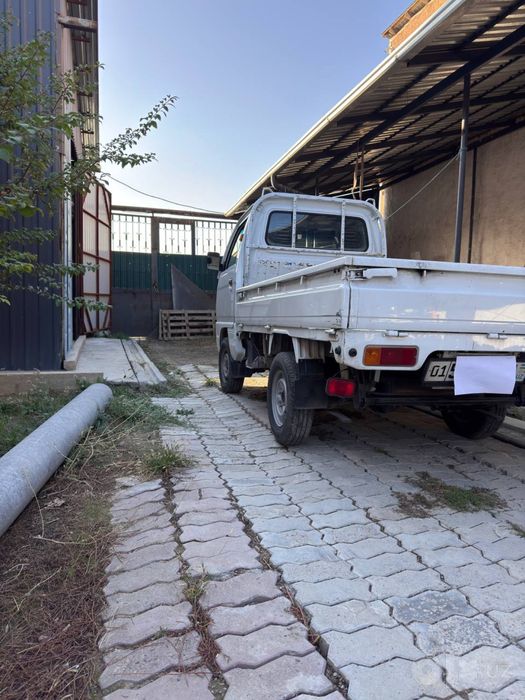 Labo 2025 yil kraskasi toza