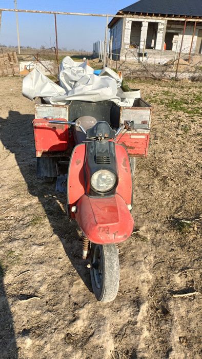 Продам два муравей