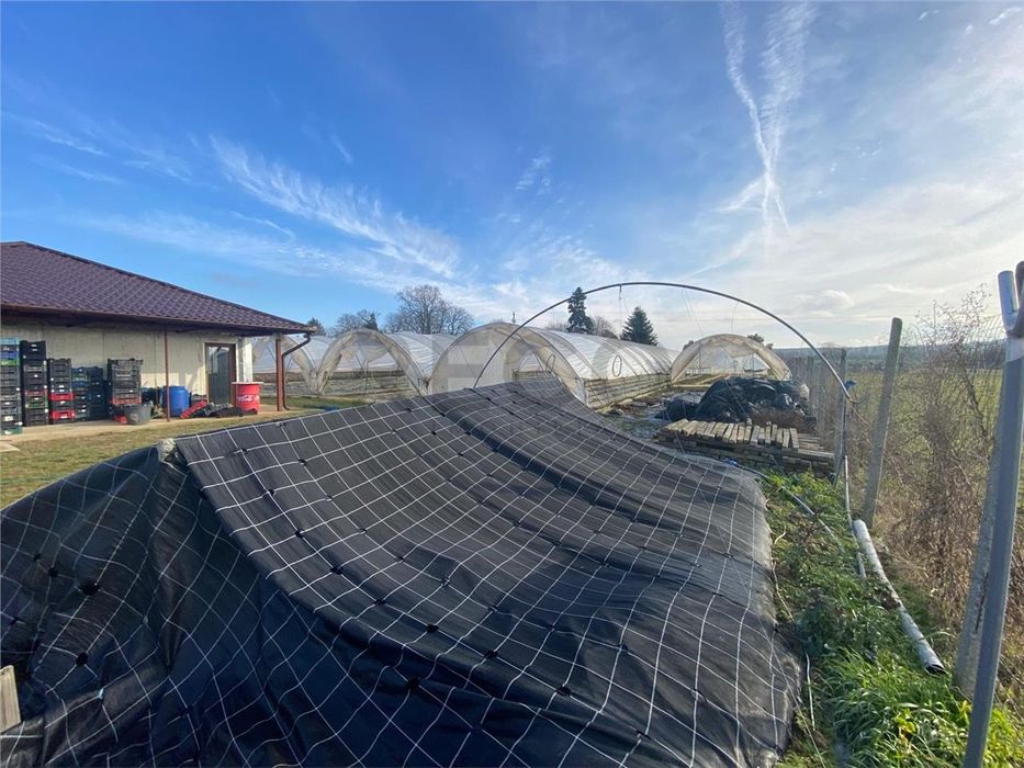 Teren cu solari si casa de constuctie usoară.