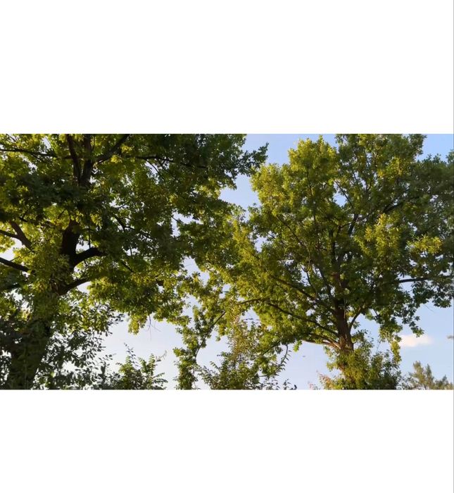 СРОЧНО! Продается Земельный участок