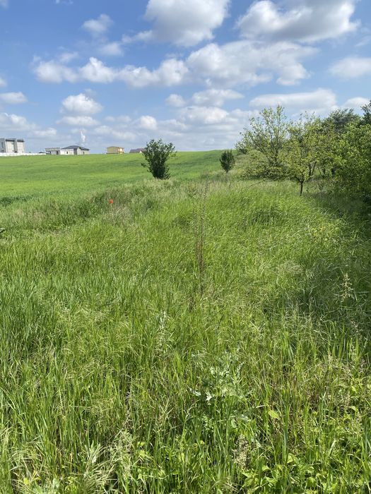 Oferta in Dudovicesti