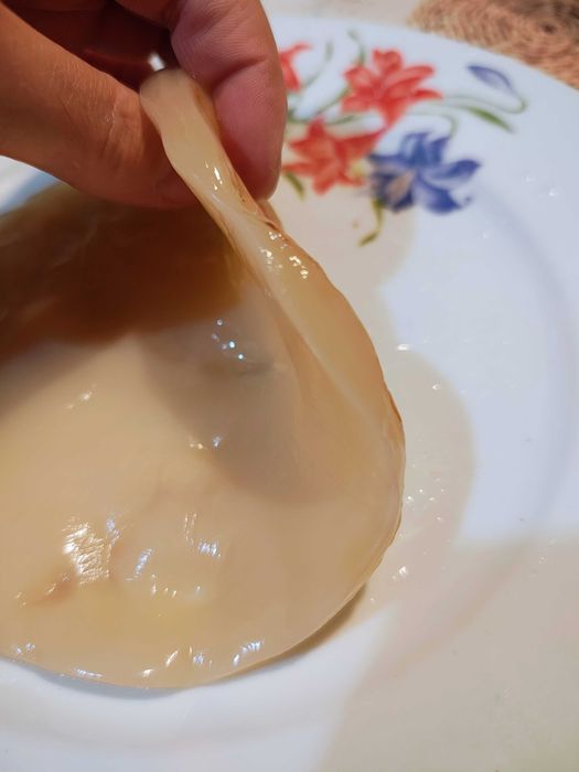 Kombucha pentru miere Kombucha JUN