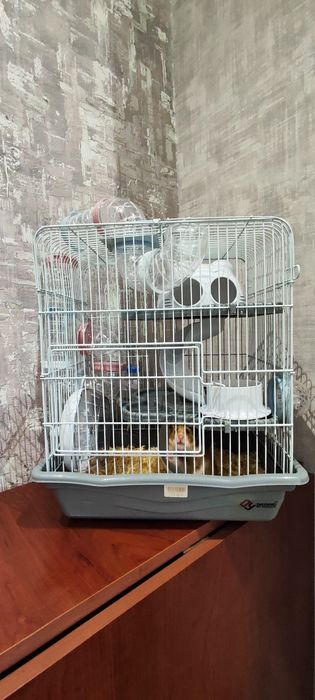 Продается клетка с хомячком