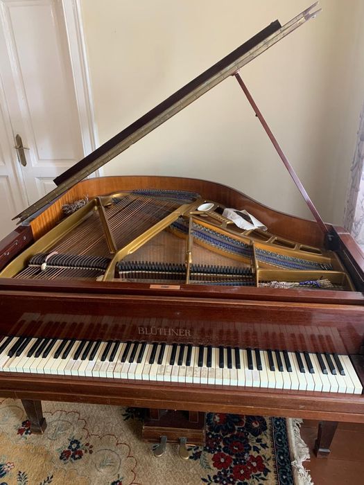 Pian coada scurta Blüthner