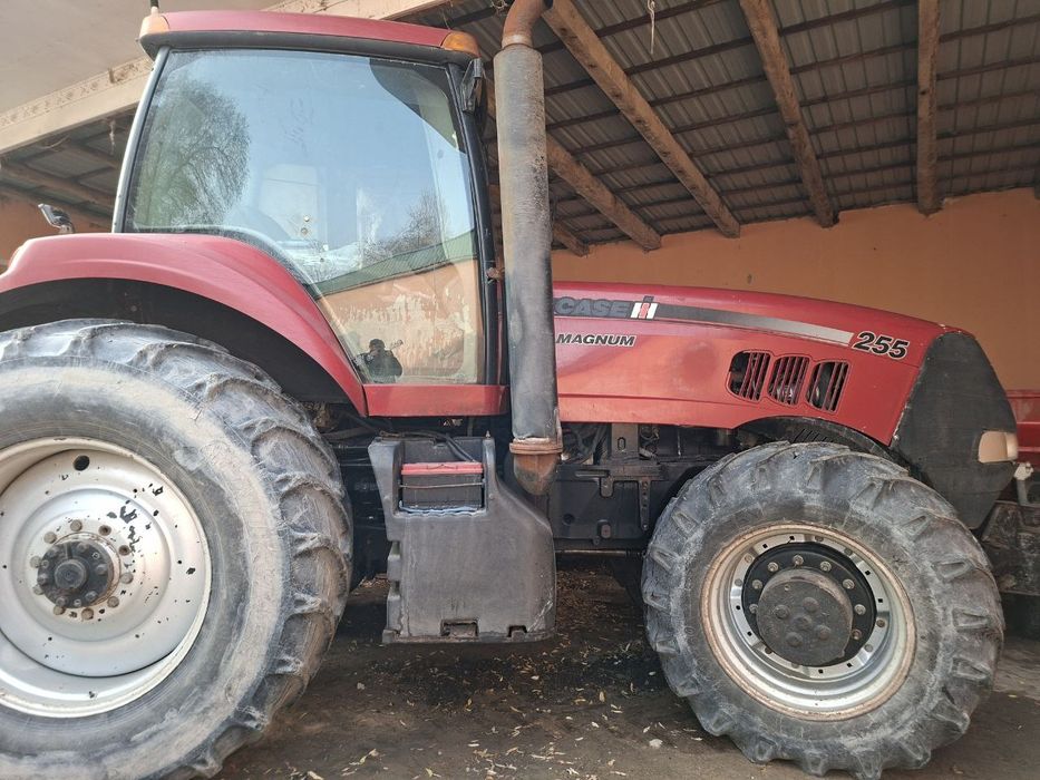 Mxm 255 casee magnum