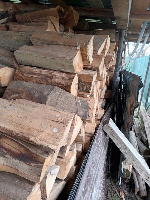 Vând lemne fag, sparte și tăiate în 2024