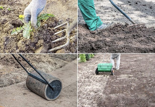 Enter green life. ПОСЕВ ГАЗОНА