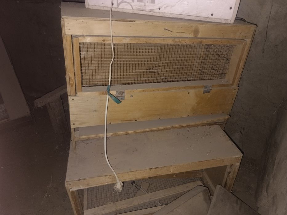 Брудер балапандарға