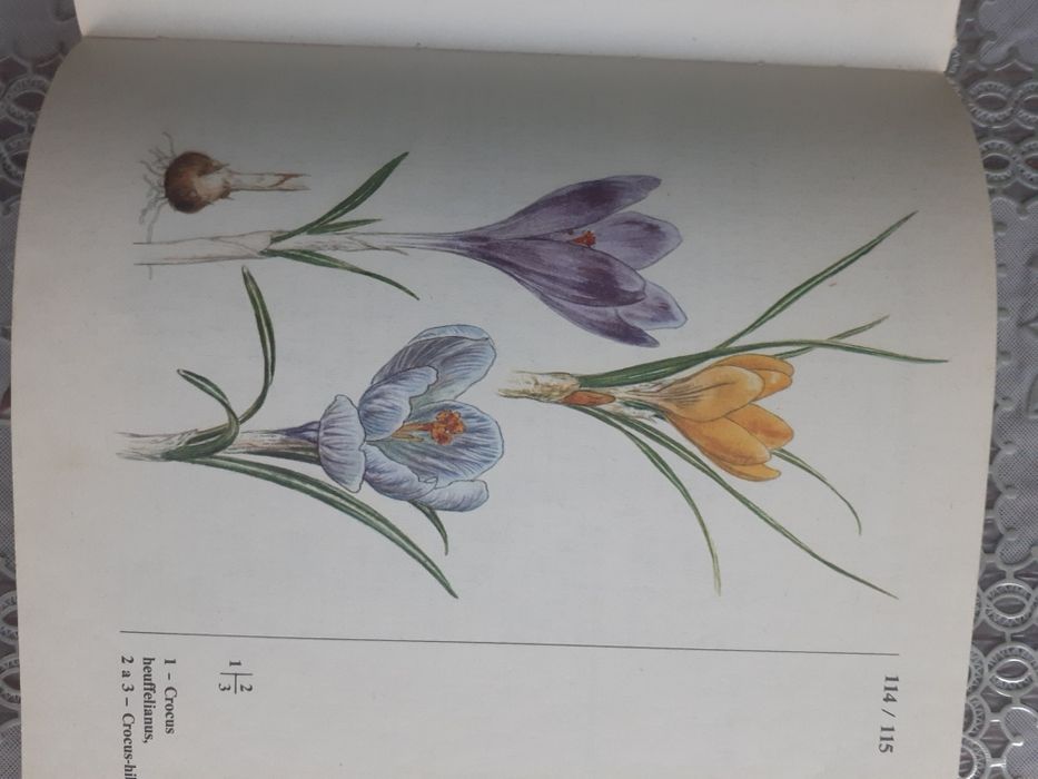 Продаётся 3 книги