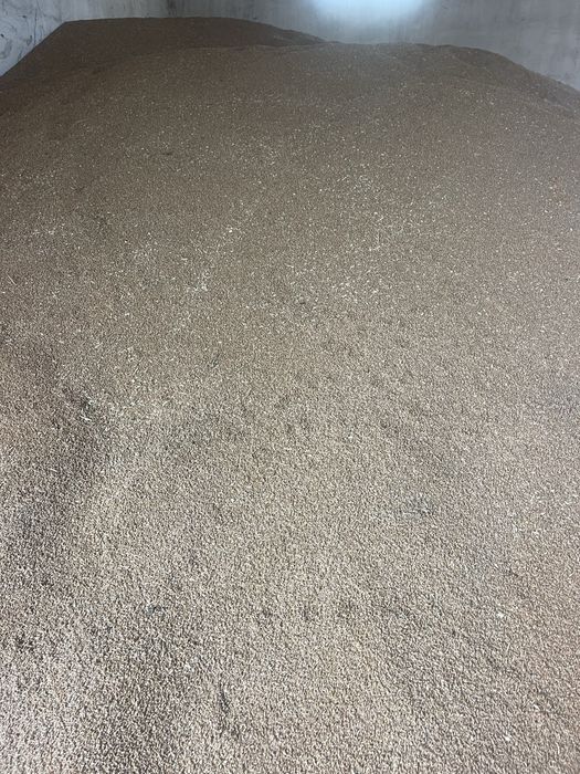 Vand porumb si grau.