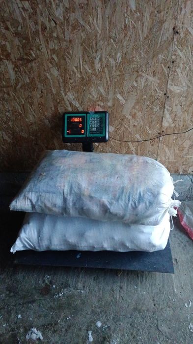 Рыба Окунь судак  Алакольский