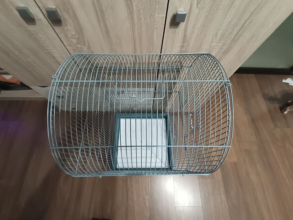 COLIVIE cusca pasari