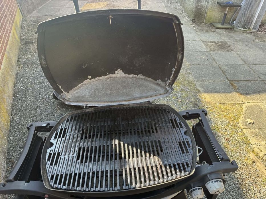 Weber Q3000 Gas Grill