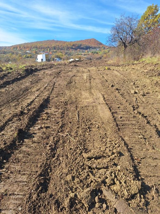 Curatam Defrisam terenuri si pasuni împădurite