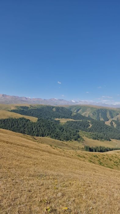 Туры. Трансфер. Горы, рыбалка, охота, выезд на природу.