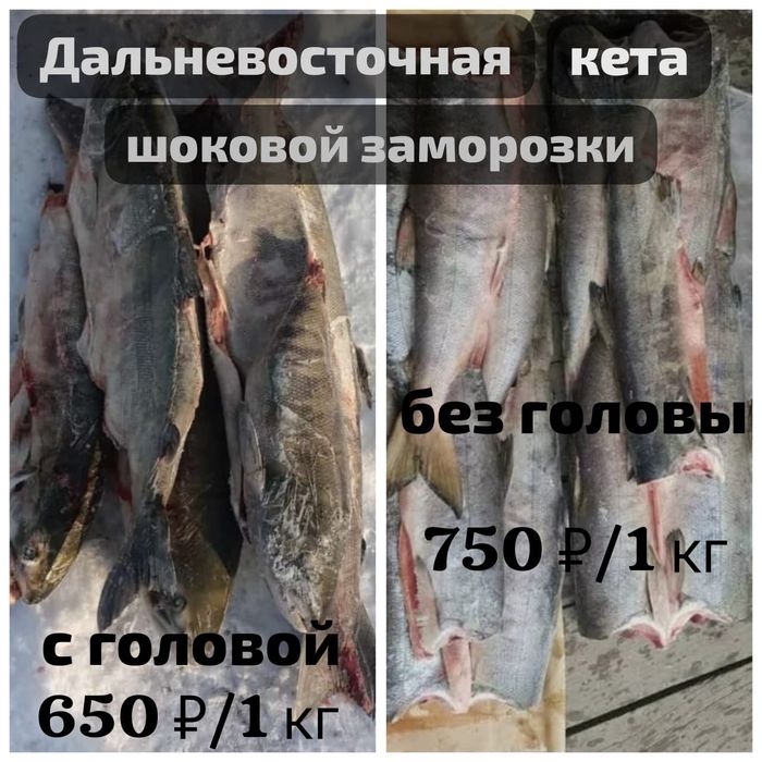 Уха /кета дальневосточная/