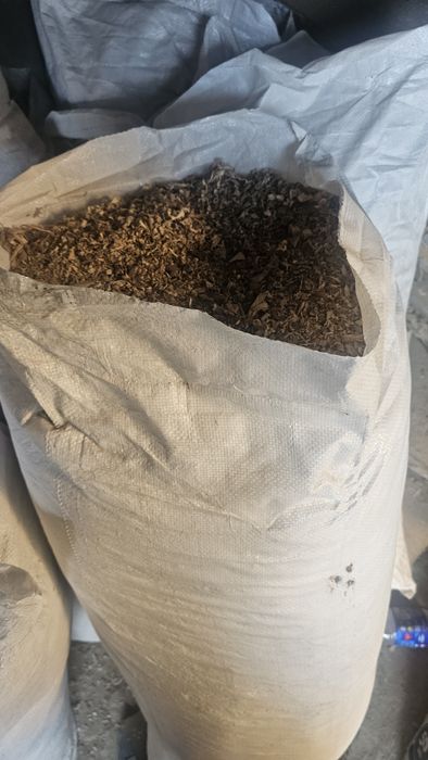 Apilka yongoq daraxtidan